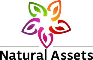 Natural Assets Logo